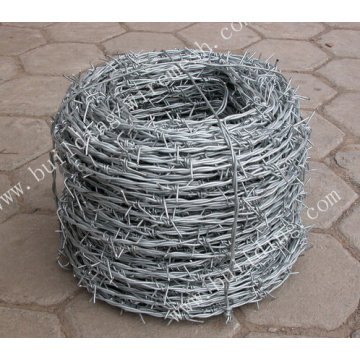 Electric/Hot Dipped Galvanized Barbed Wire